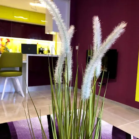 Apartment Ultraviolet Relax